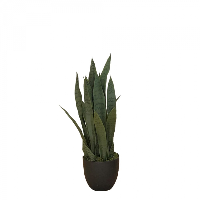 Planta artificiala Sansewieria Zelenica 65cm [2]