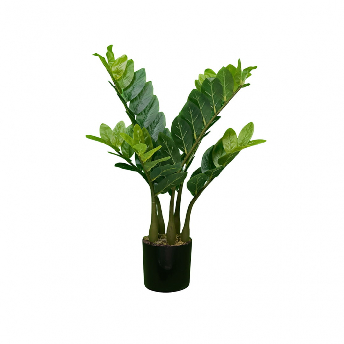Planta artificiala Zamiokulkas 60cm [1]
