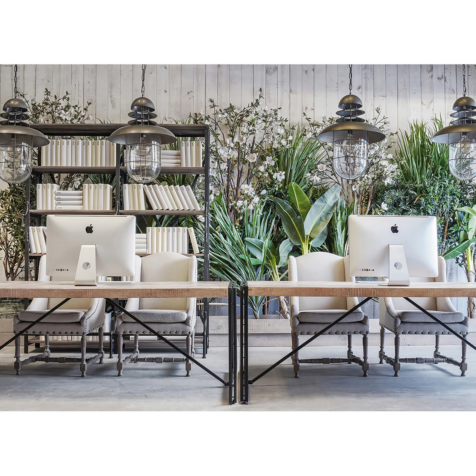 PLANTA BAMBU VicalHome 24317 [5]