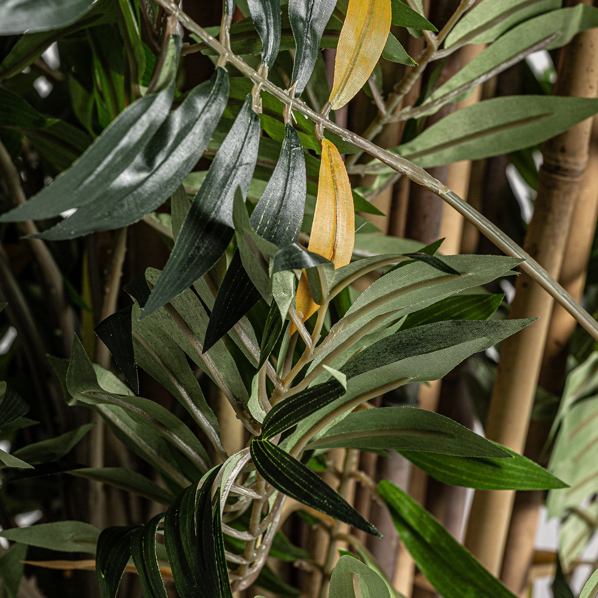 PLANTA BAMBU VicalHome 24317 [3]