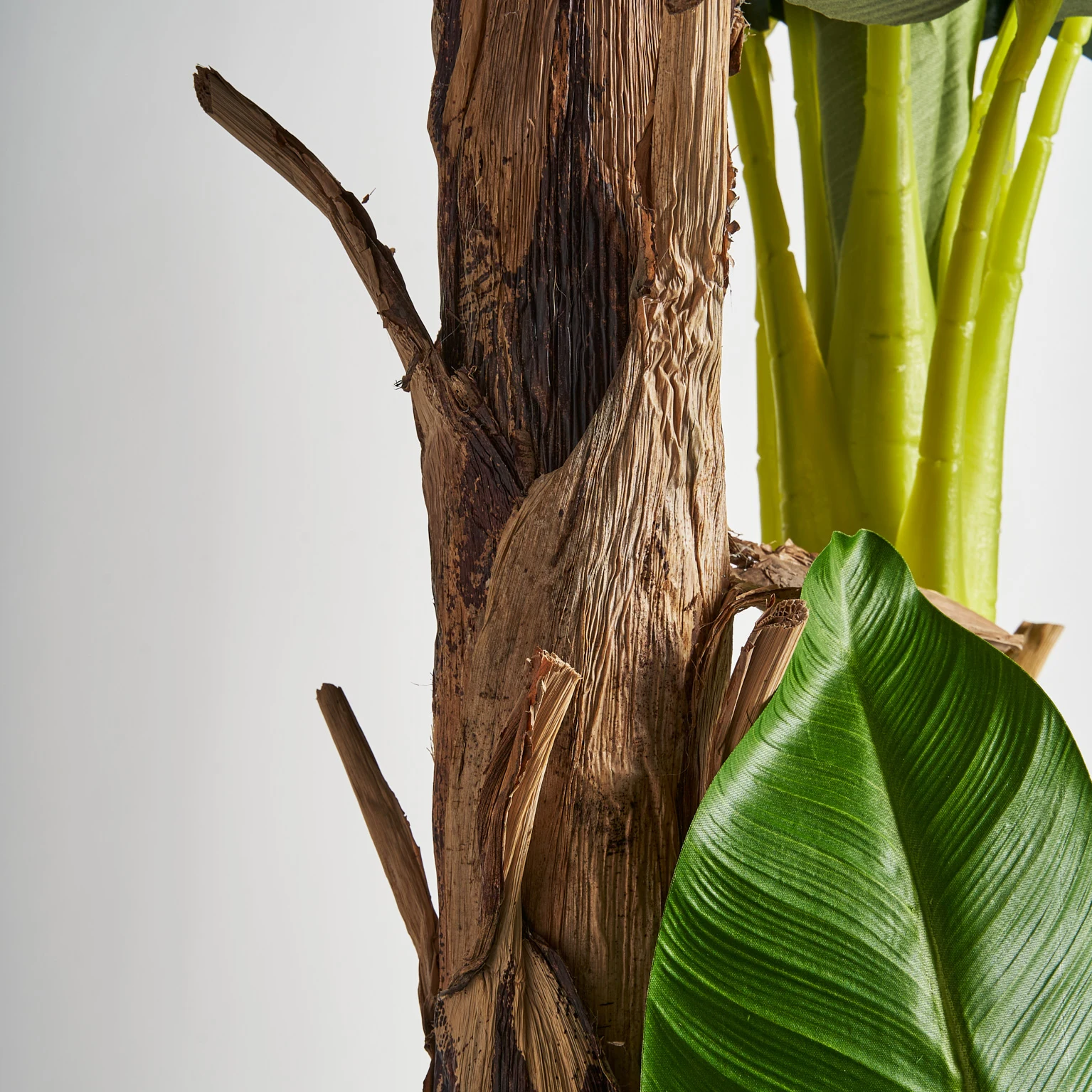 PLANTA DE BANAN VicalHome 27323 [4]
