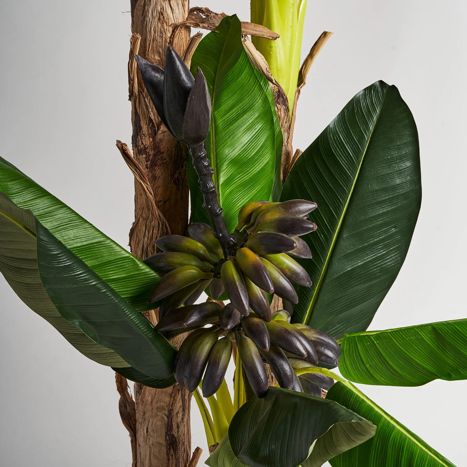 PLANTA DE BANAN VicalHome 27323 [3]