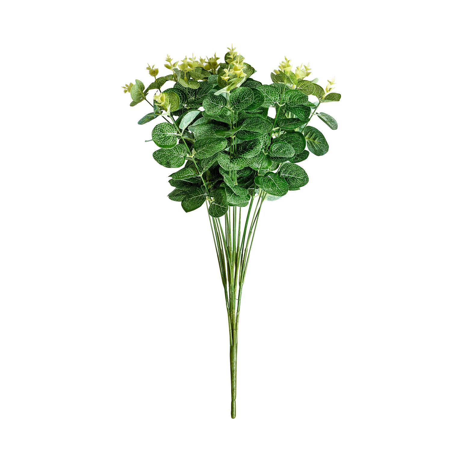 Planta de eucalipt VicalHome 26356 [2]