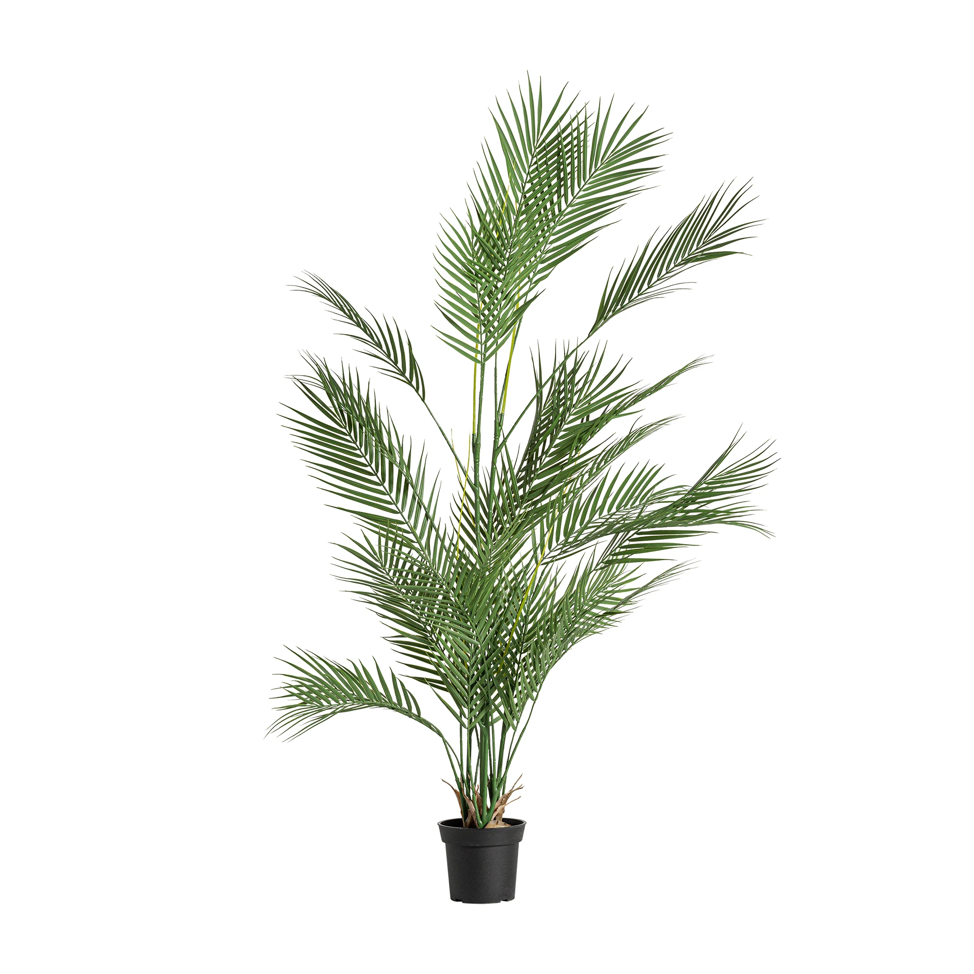 PLANTA DE FERIGA VicalHome 29117 [1]