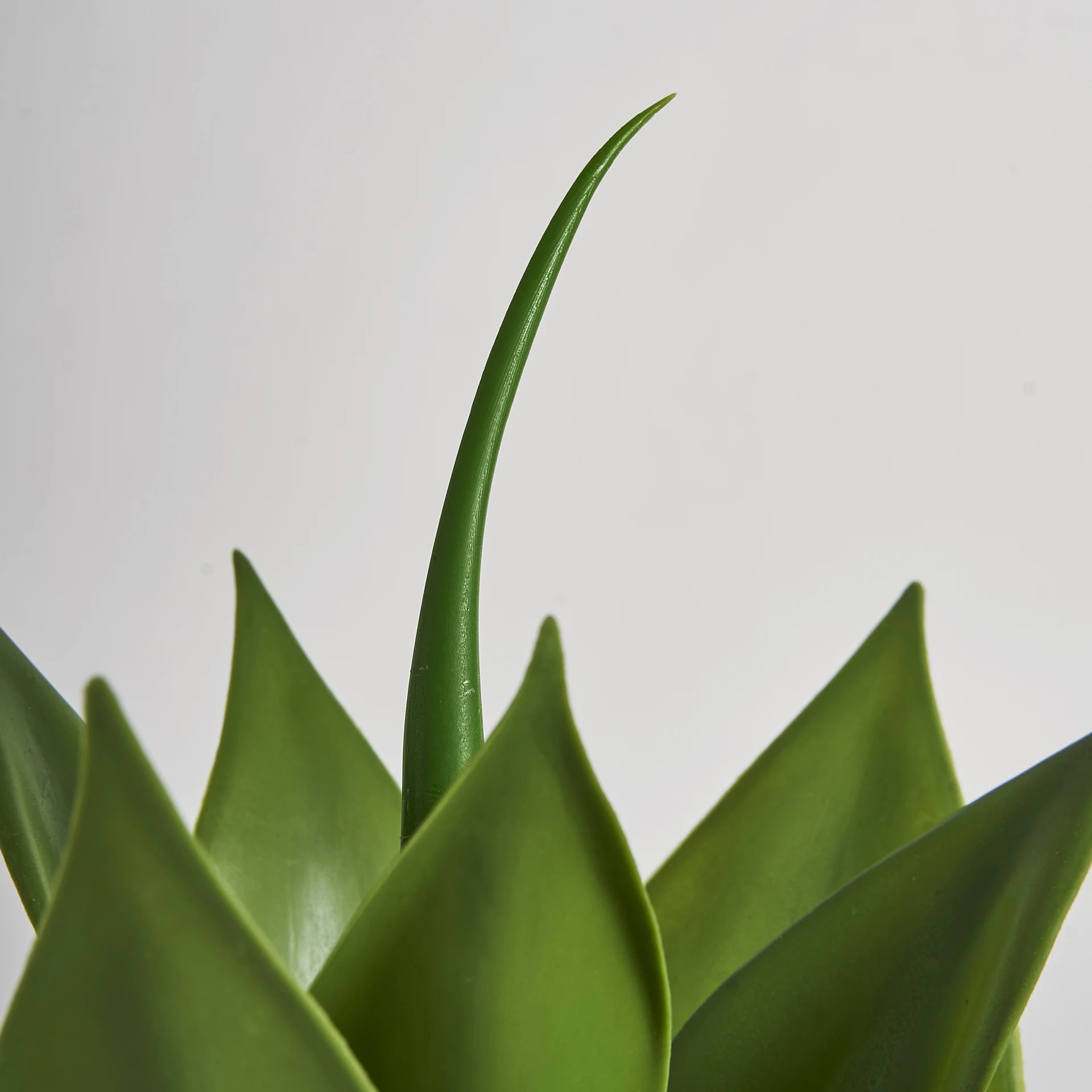 Planta de lotus VicalHome 29111 [2]