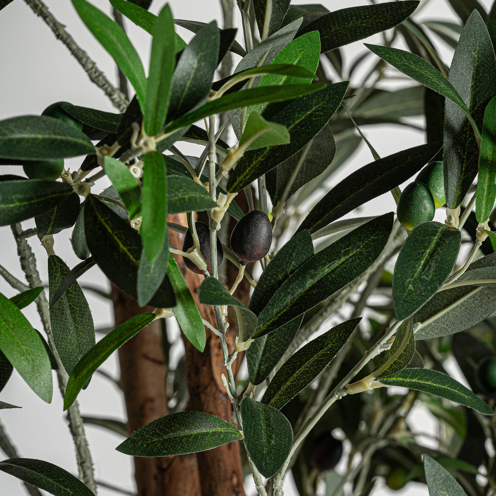 PLANTA DE MASLIN VicalHome 22691 [3]