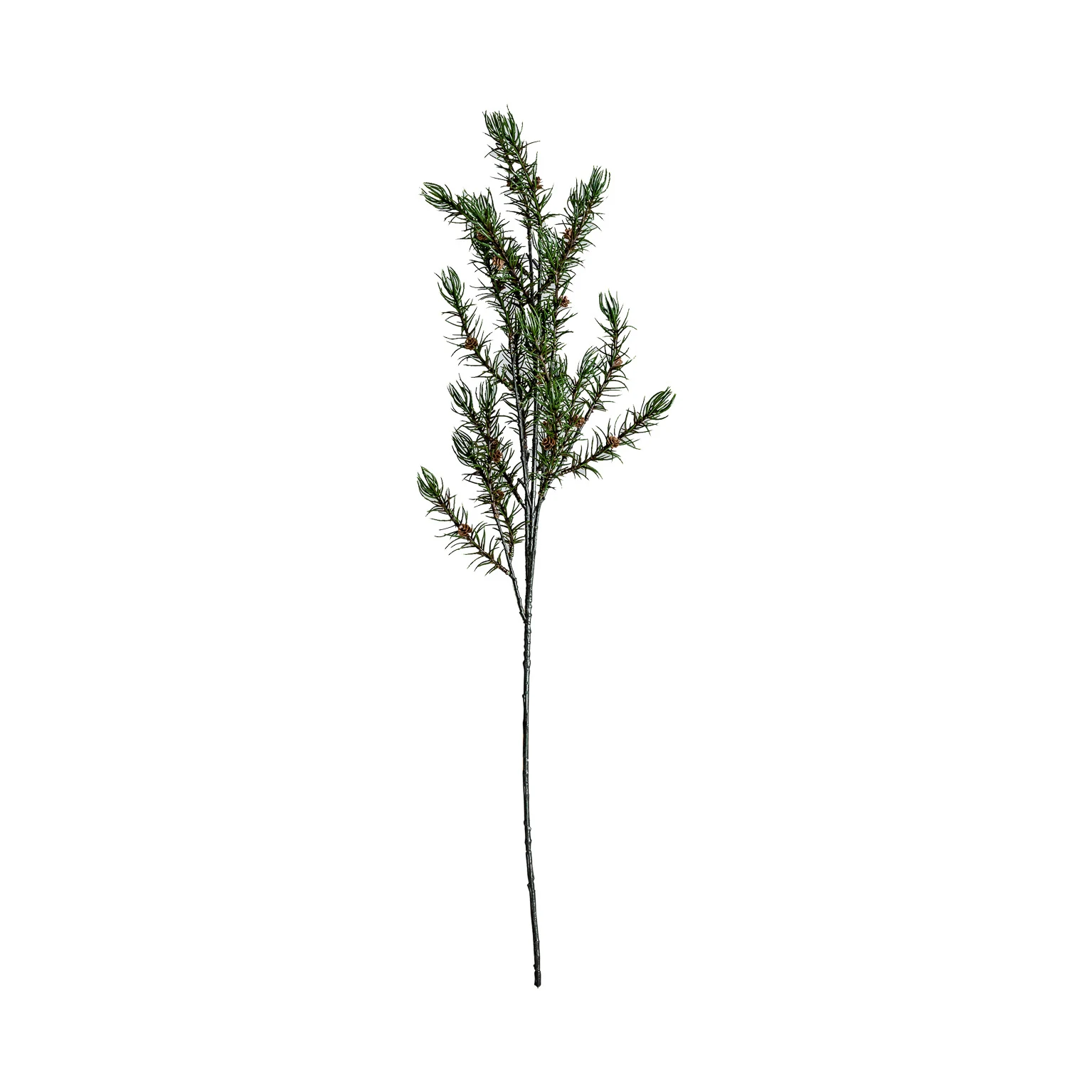 PLANTA DE ROZMARIN VicalHome 26341 [2]