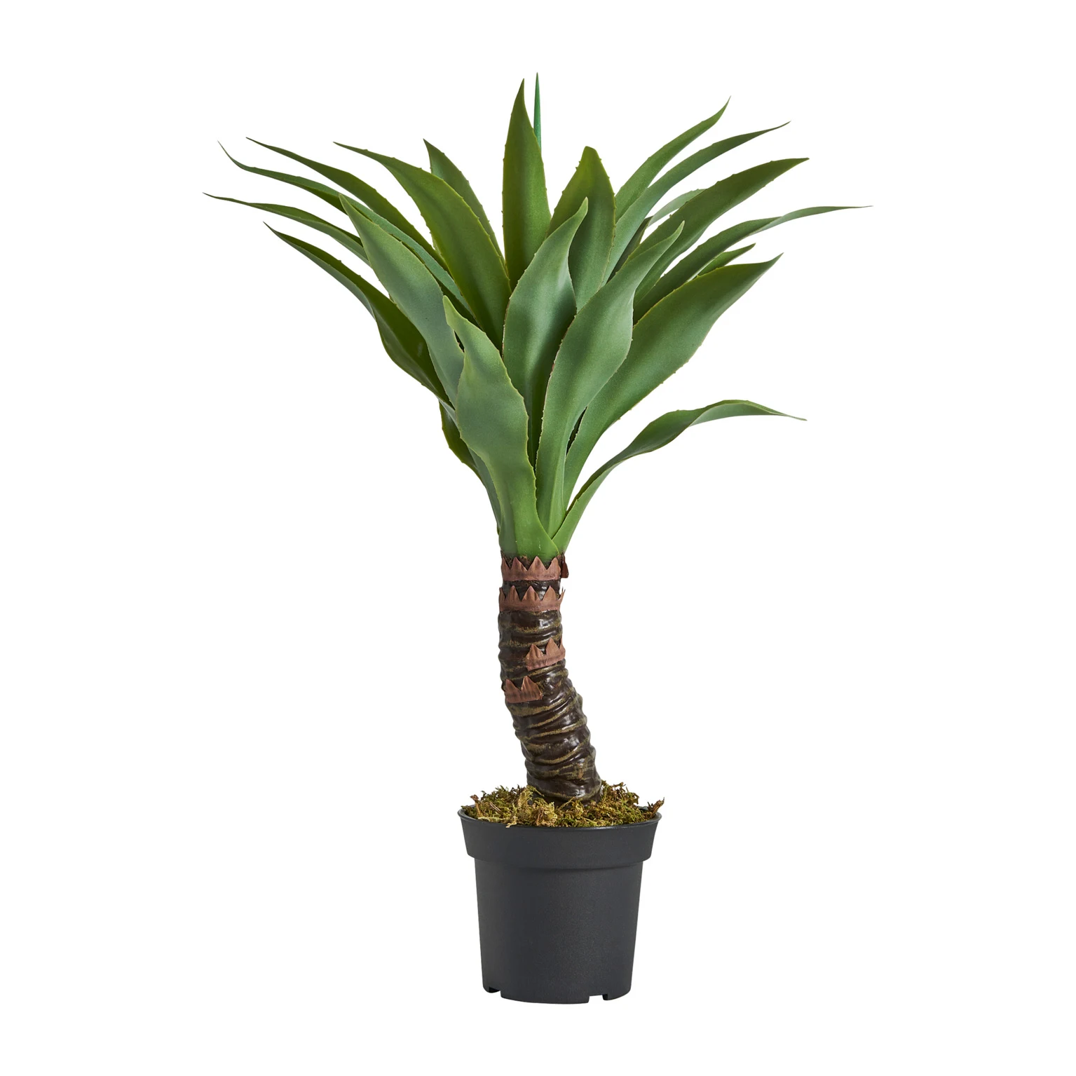 PLANTA DE YUCCA VicalHome 29112 [1]