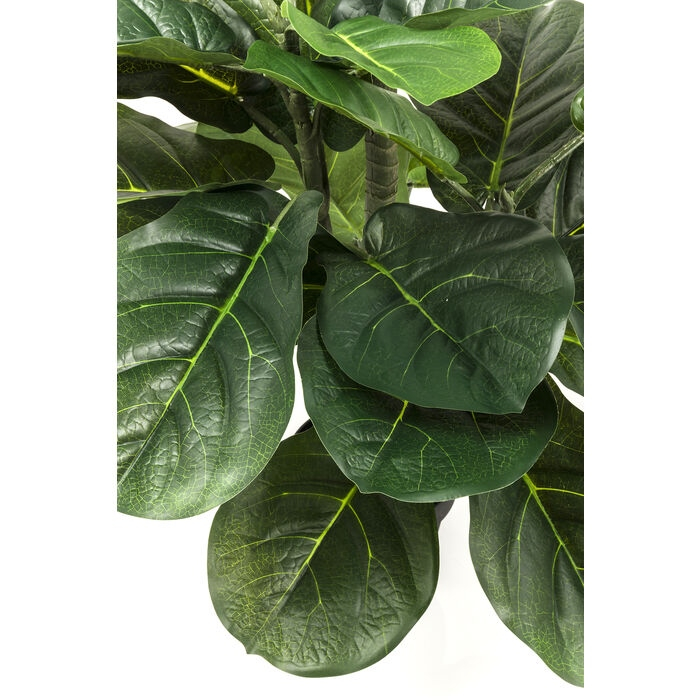 Plantă Decorativă Fiddle Leaf 30x17x120 cm, Polietilen Verde - Kare Design [3]