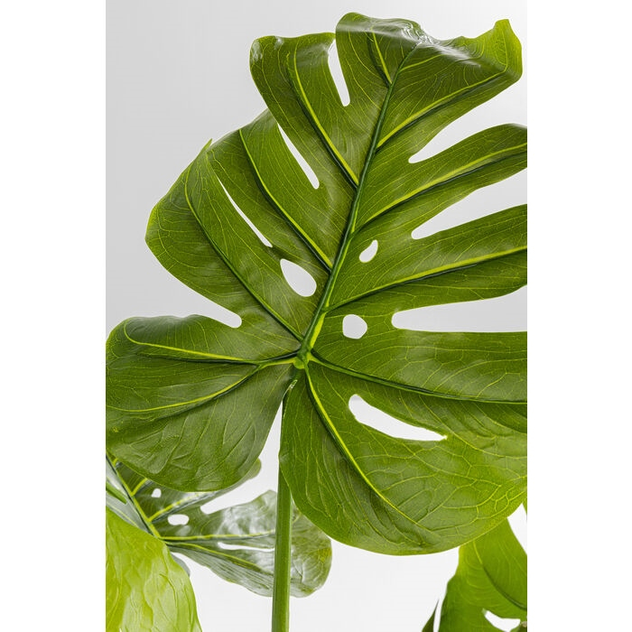 Plantă Decorativă Monstera 50x40x110 cm, Eva și Polietilenă - Kare Design [5]