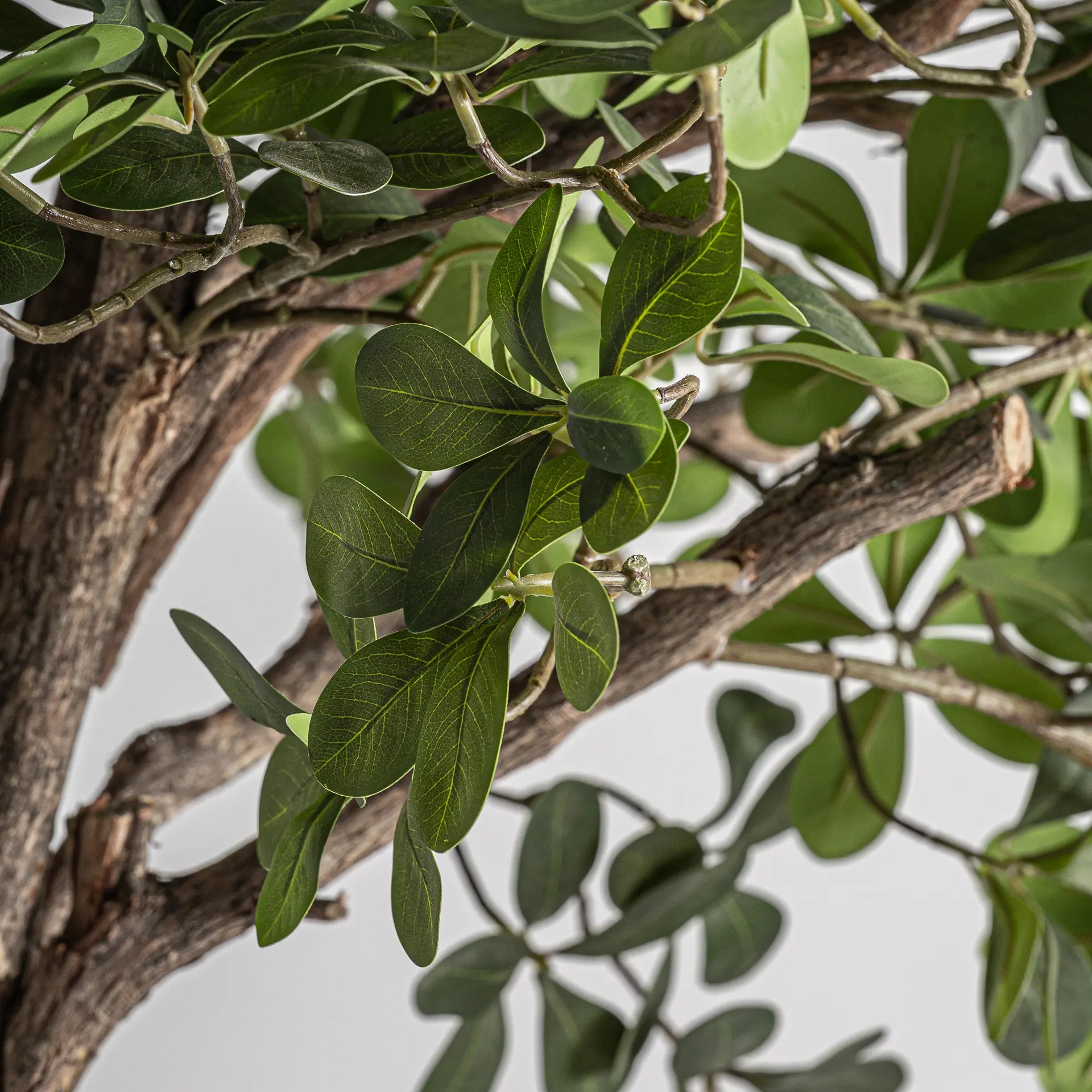 Planta Ficus 70x70x230 cm, Fibra Naturala și Lemn Maro - VicalHome VicalHome 38083 [2]