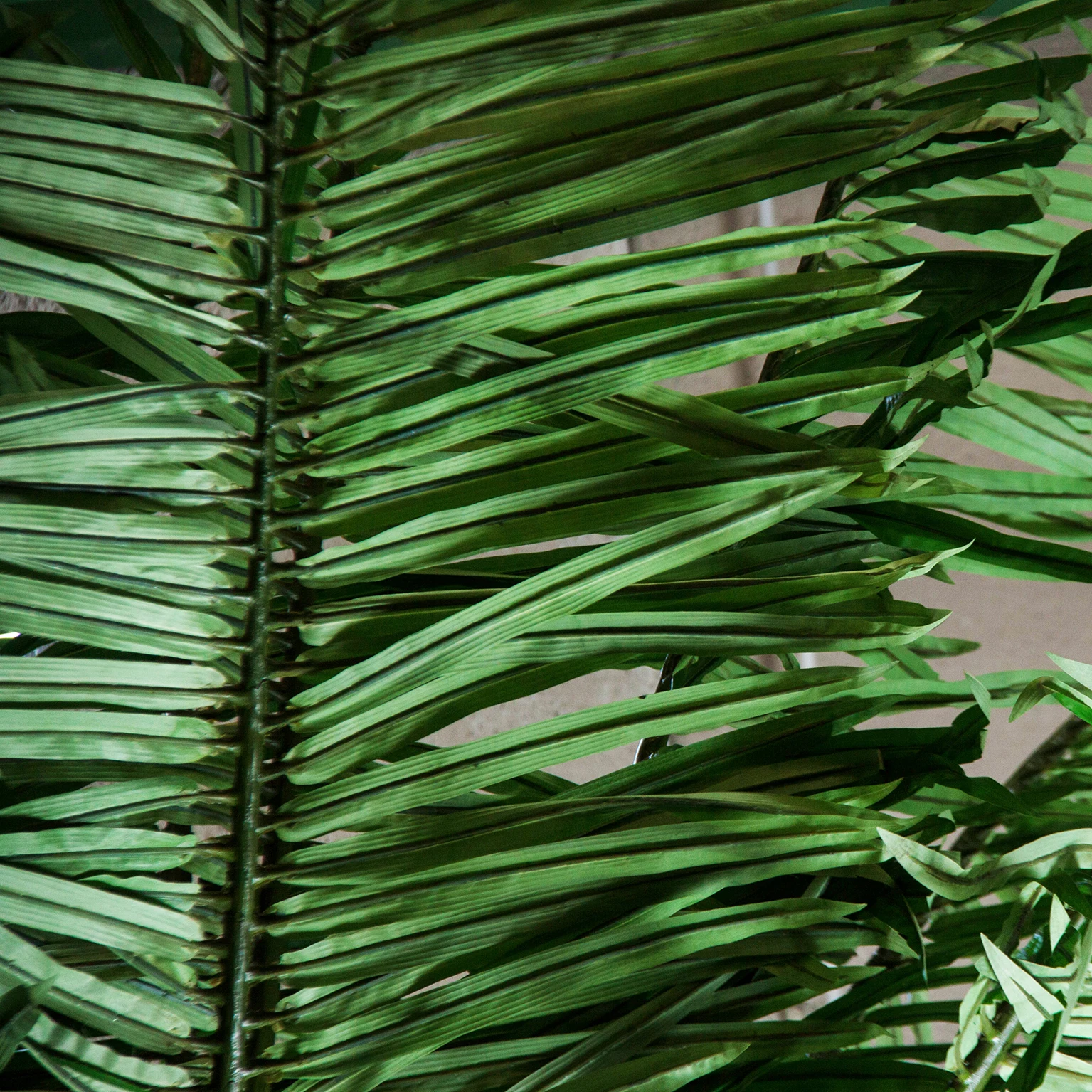 PLANTA PALMIER VicalHome 27416 [2]