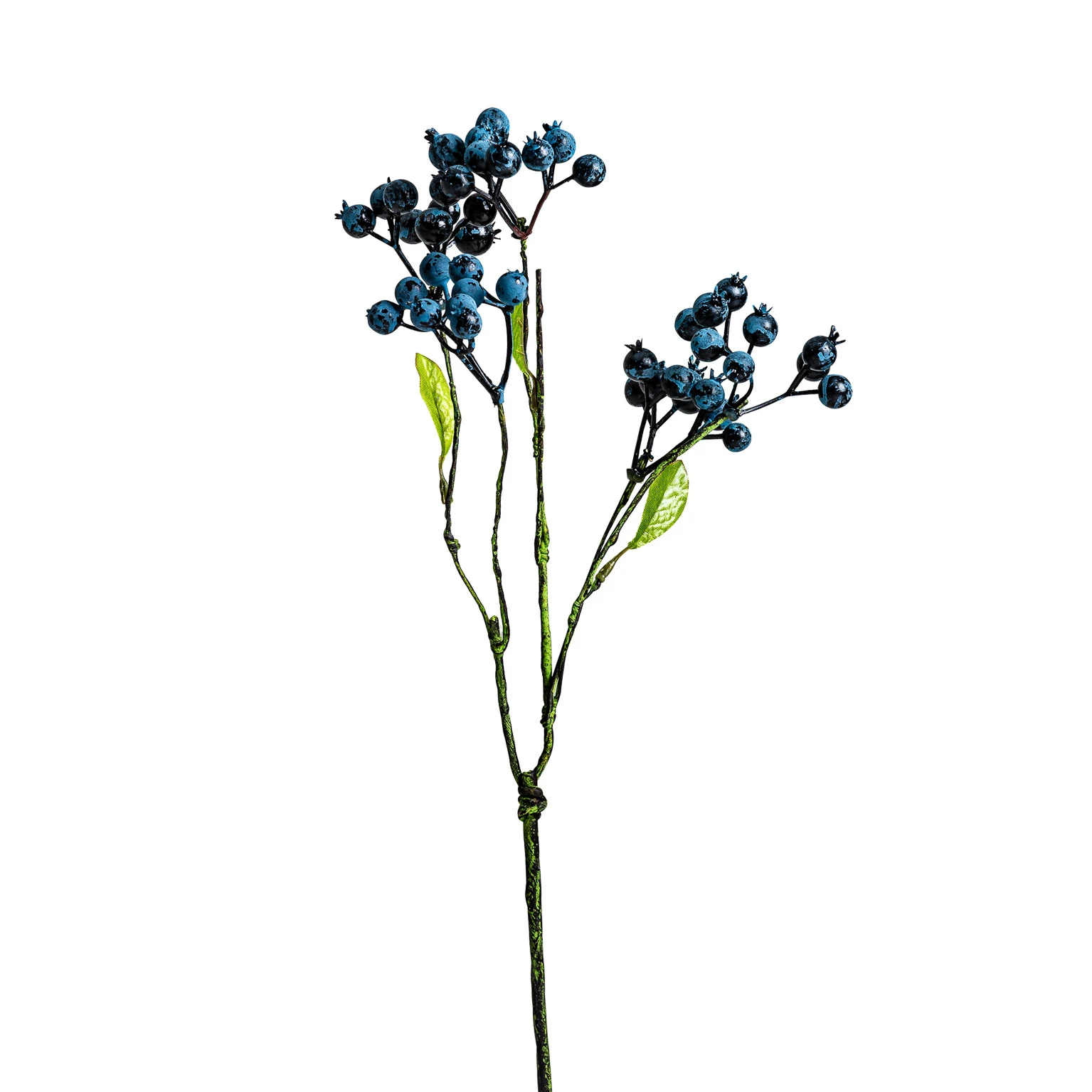 PLANTA VicalHome 26343 [1]