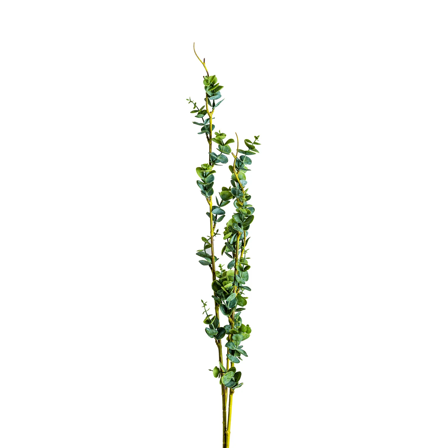 Rame pentru plante VicalHome 26338 [1]
