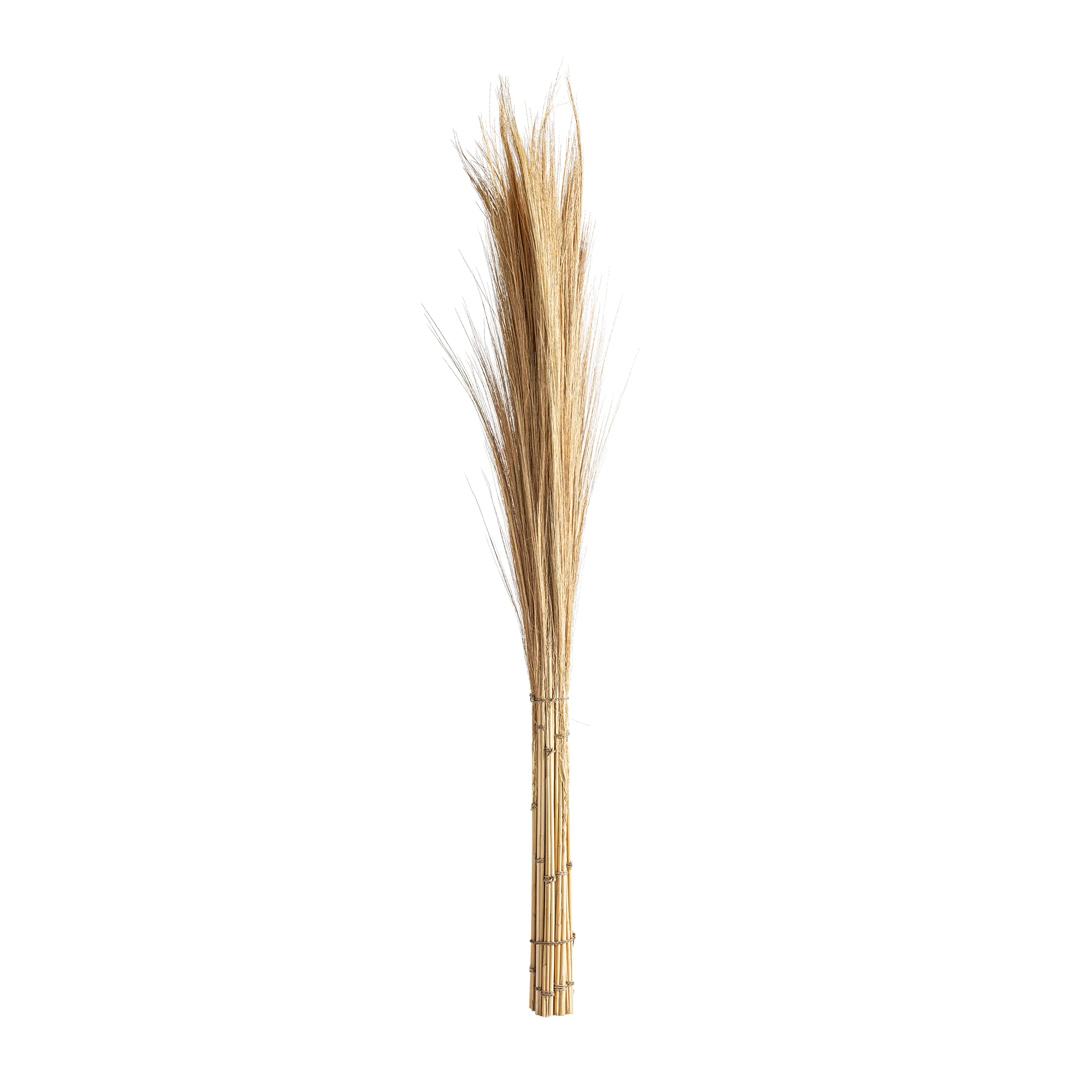 RAMURI LEASHE VicalHome 34327 [1]