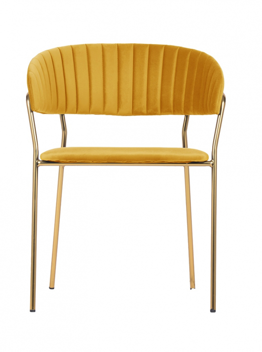 Scaun tapitat velur diverse culori Becci Premium, picioare aurii metal, KH121100121.4 - King [57]