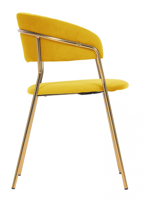 Scaun tapitat velur diverse culori Becci Premium, picioare aurii metal, KH121100121.4 - King [58]