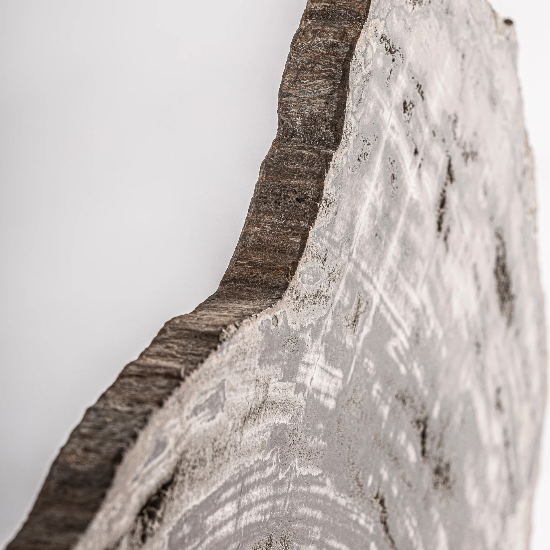Sculptura Decorativa din Fier si Lemn Pietrificat, Gri, 30x7x35 cm, Stil Nordic - VicalHome 37447 [3]