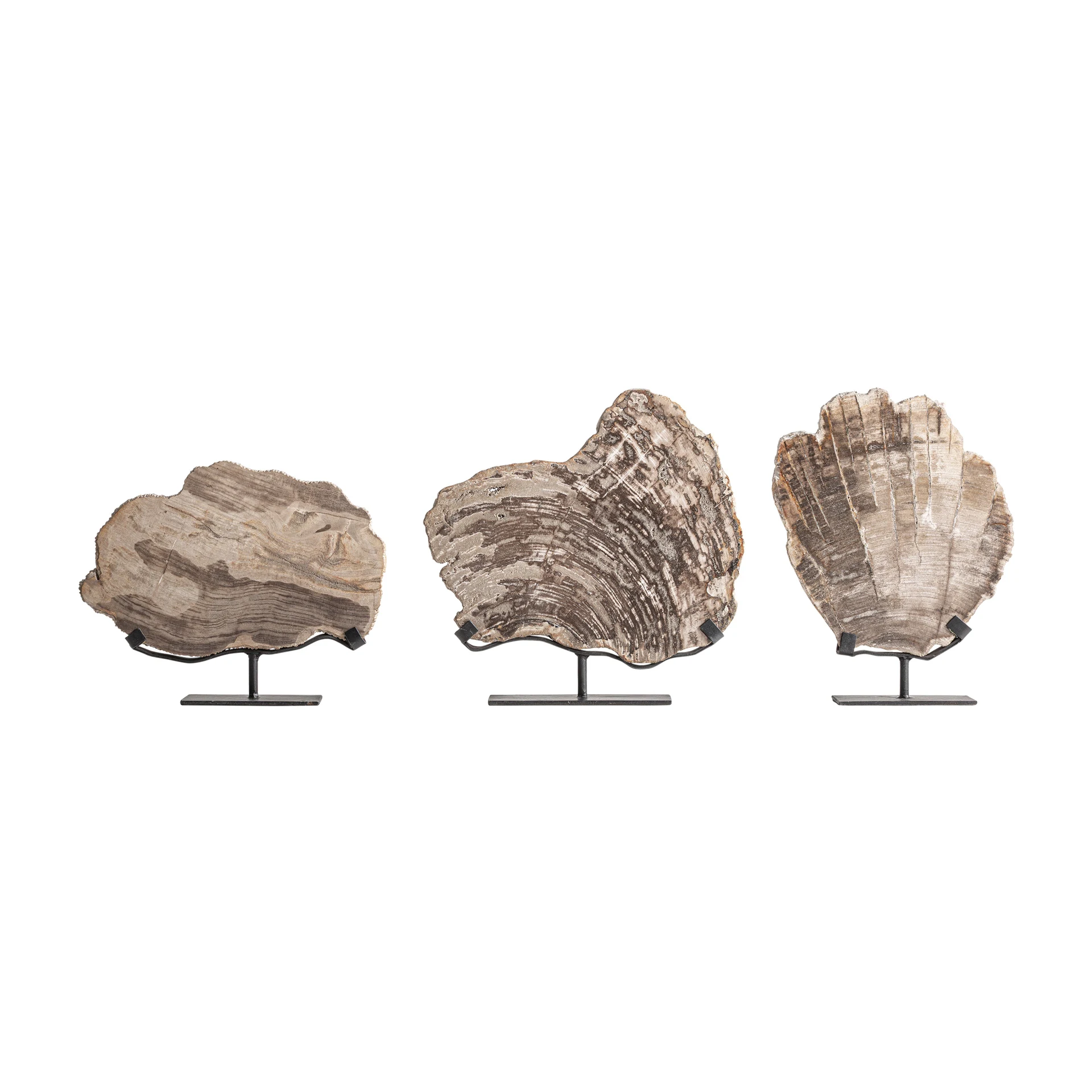 Sculptura Decorativa din Fier si Lemn Pietrificat, Gri, 30x7x35 cm, Stil Nordic - VicalHome 37447 [2]
