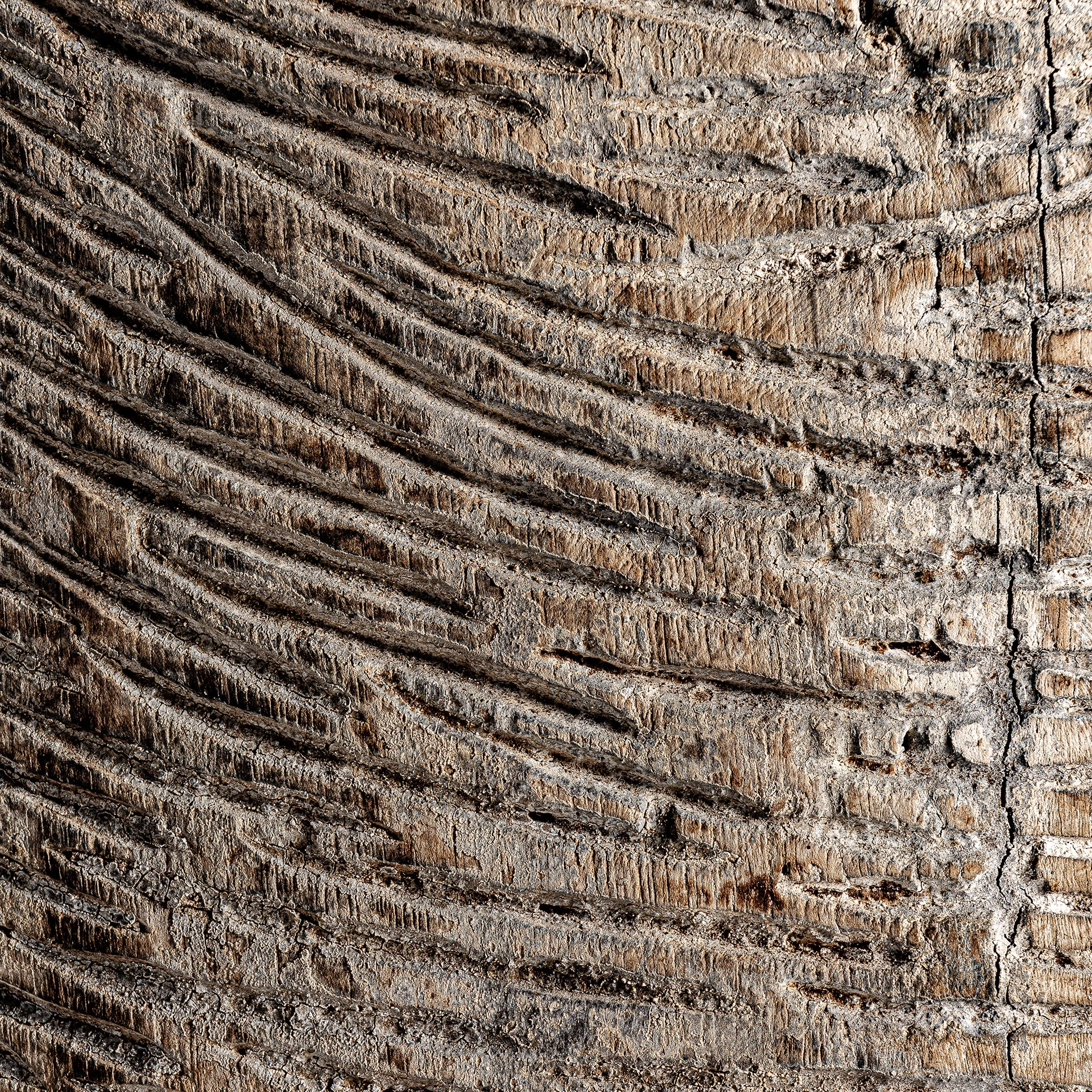 Sculptura Svarog VicalHome 32881 [4]