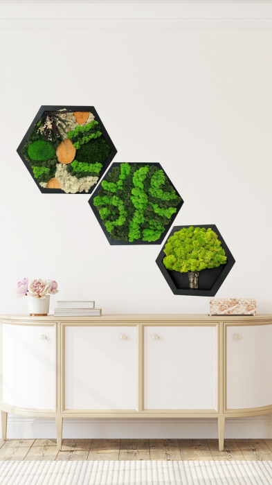 Set 3 tablouri hexagon cu muschi si licheni Finnegan 30/40 cm, 3HE30LM-BL - Lacraru [4]