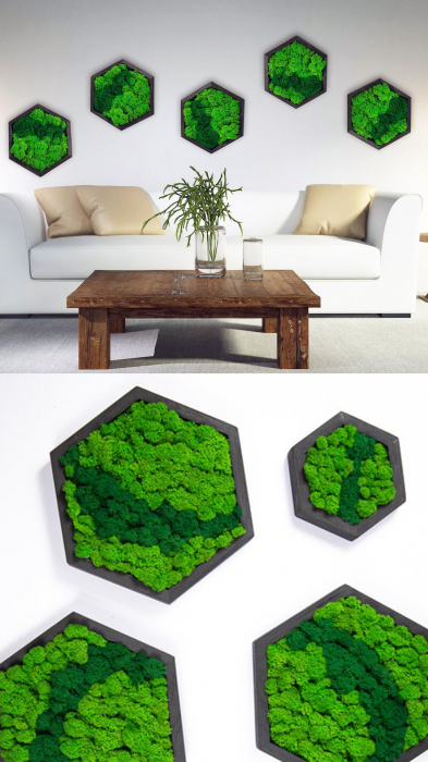 Set 5 tablouri hexagon cu licheni Milly 30/40 cm, 5HE30V-OAK - Lacraru [4]