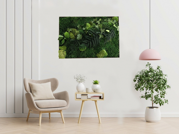 Tablou cu muchi, licheni si plante stabilizate Wild diverse dimensiuni, T15FRL_30x60 - Lacraru [4]