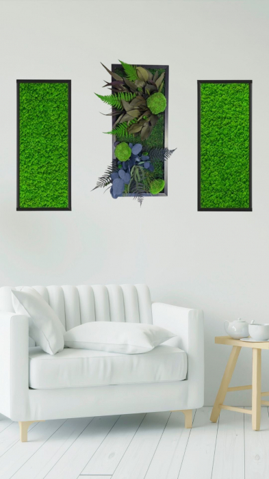 Tablou decorativ cu plante si muschi verzi Green Fantasy I diverse dimensiuni, TB30SMP_30x70 - Lacraru [2]