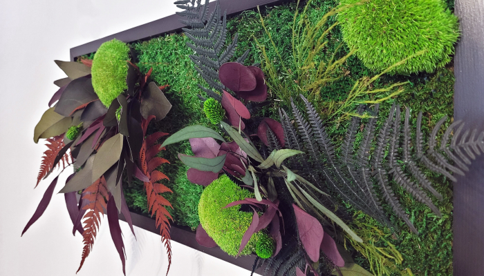 Tablou decorativ cu plante si muschi verzi Green Fantasy II diverse dimensiuni, TB30MP_30x70 - Lacraru [3]