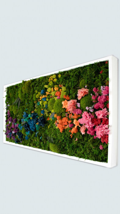 Tablou decorativ Rosy cu muschi, licheni si plante, diverse dimensiuni, TB60LMF_60x40_WH - Lacraru [3]