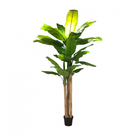 Plante XXL - Arborele artificial Bananowiec 250cm