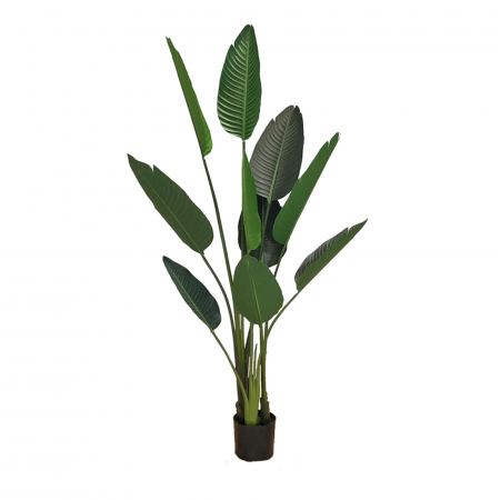 Produse - Artificial pot plant Strelicja 155cm