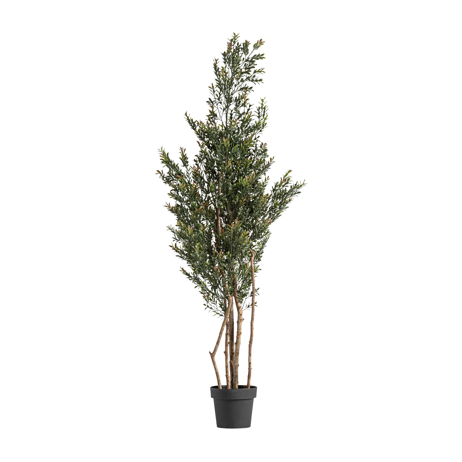 Plante artificiale - BOJ PLANT VicalHome 37732