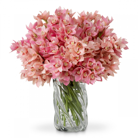 Produse -   Buchet de orhidee Cymbidium în nuanțe de roz și piersică, atingere reală, 36 buc./2 varietăți 119282 EICHHOLTZ