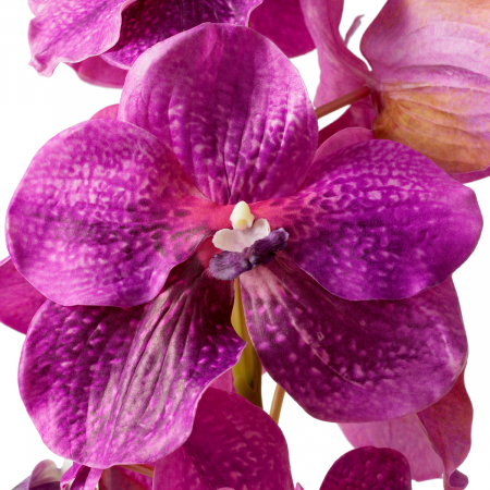   Buchet de orhidee Vanda fucsia cu atingere reală 24 bucăți 119285 EICHHOLTZ [3]