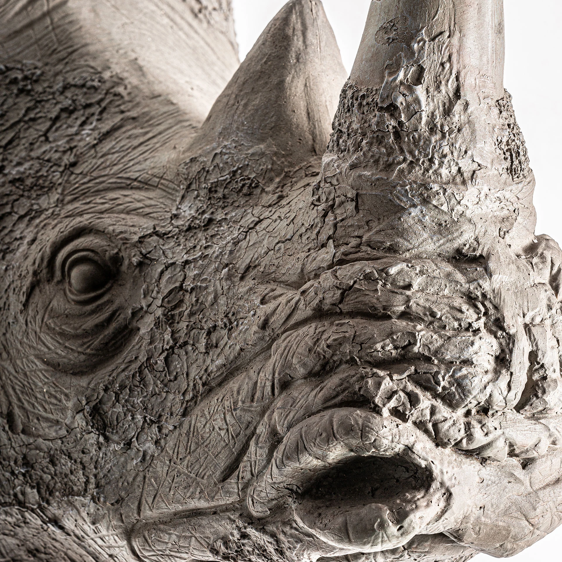 BUST DE RINOCER VicalHome 22801 [14]