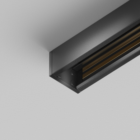 Componente pentru sistem de șină Accessories for tracks Tenity Negru Aluminiu -W MAYTONI TRA239EC-41B [3]