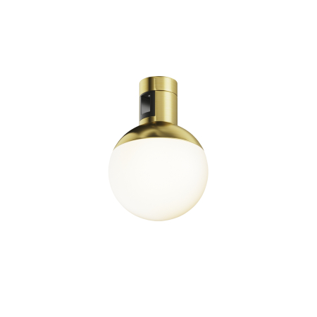 Produse - Corp de iluminat pe șină Lună, Aluminiu Alamă, 5W, MAYTONI TR149-1-5W2.7K-BS-DE