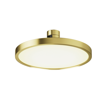 Produse - Corp de iluminat pe șină Plato, Aluminiu Alamă, 10W, MAYTONI TR153-1-10W2.7K-BS-DE