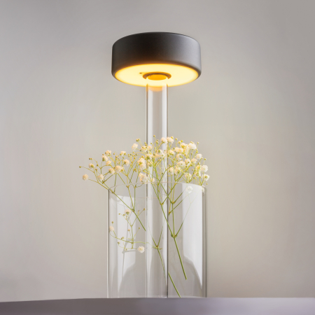 Corp de iluminat reîncărcabil Colaborare AI, Sticlă Transparent, 3W, MAYTONI MOD229TL-L3B3K1 [4]