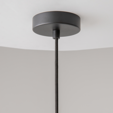 Corp de iluminat suspendat Cambio, Aluminiu Negru, 60W, MAYTONI MOD398PL-01BR [4]