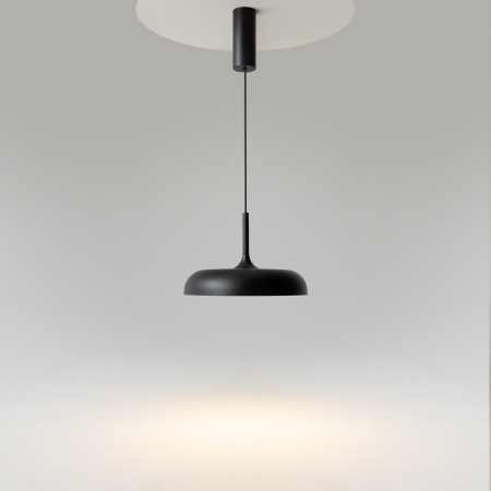 Corp de iluminat suspendat Gerhard, Metal Negru, 19W, MAYTONI MOD189PL-L12B3K1 [4]