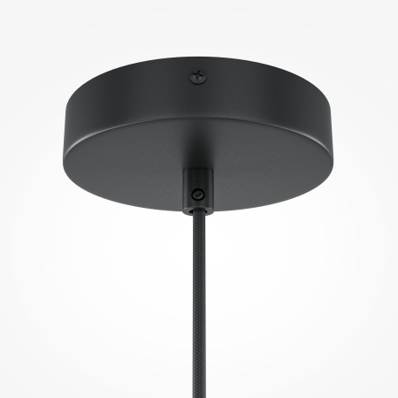 Corp de iluminat suspendat Roots, Metal Negru, 40W, MAYTONI MOD192PL-01W1 [4]