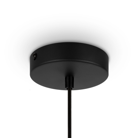 Corp de iluminat suspendat Roots, Metal Negru, 40W, MAYTONI MOD193PL-01W [3]