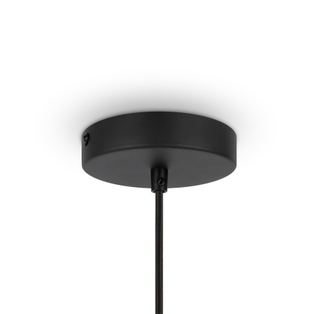 Corp de iluminat suspendat Roots, Metal Negru, 40W, MAYTONI MOD197PL-01W [3]