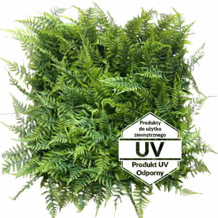 Produse - Covoraș verde artificial Adiantum UV 50x50cm