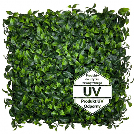 Produse - Covoraș verde artificial Barwinek UV 50x50cm
