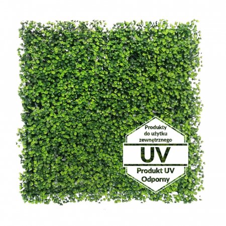 Produse - Covoraș Verde Artificial Rzesa UV 50x50cm