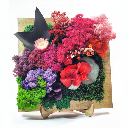 Tablouri licheni - Decoratiune cu licheni stabilizati si flori criogenate Joy 20x20 cm, DE20LF - Lacraru
