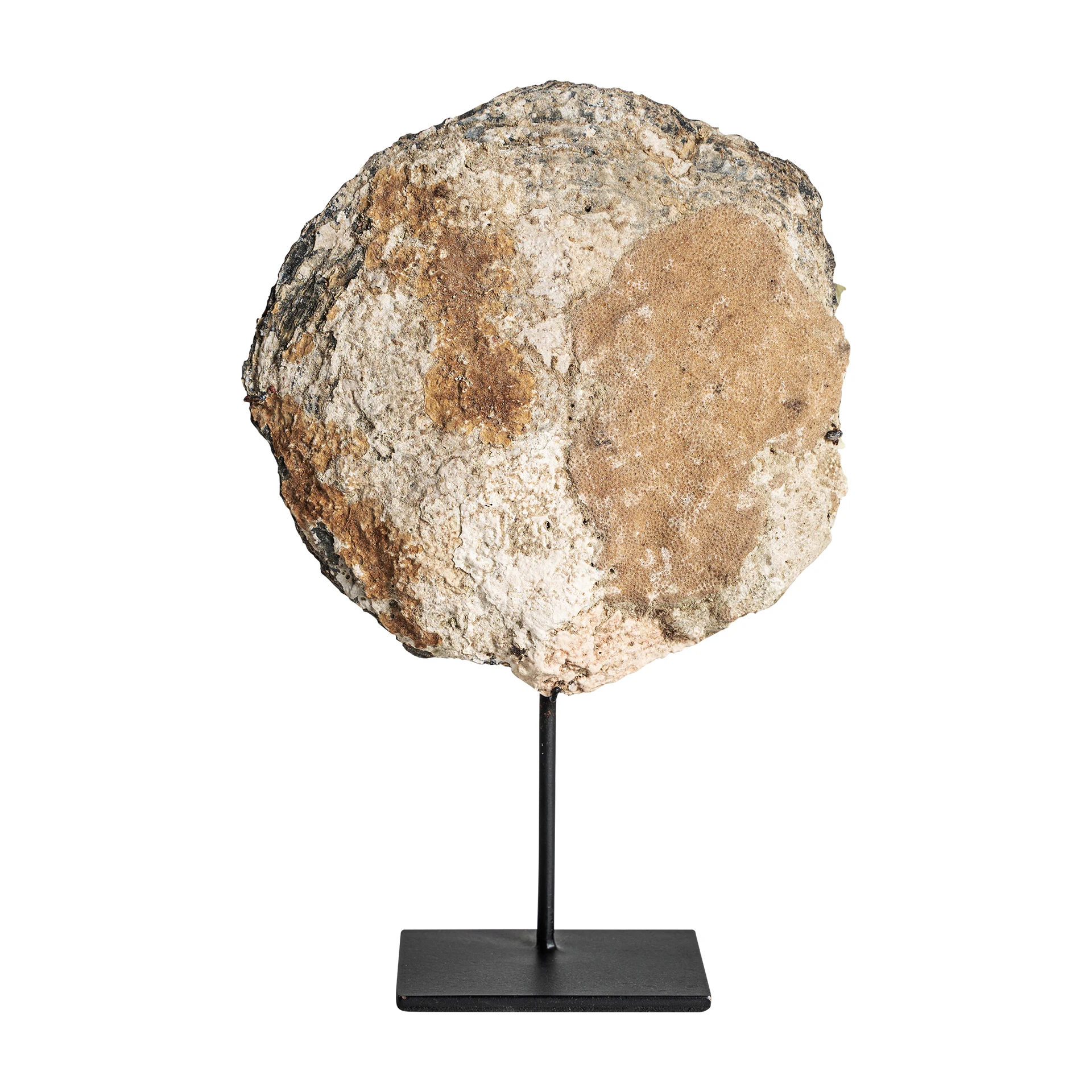Produse - FIGURINA DECORATIVA CHEDMA VicalHome 36575
